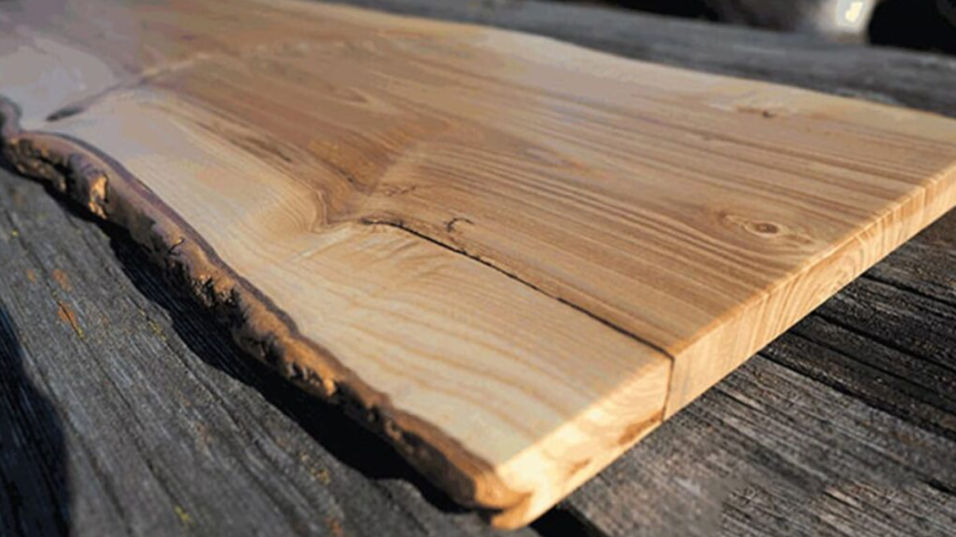 Gỗ Tần Bì là gỗ gì? Độ bền khoảng bao lâu?